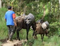 Imagen Comuneros Pacto Sumaco